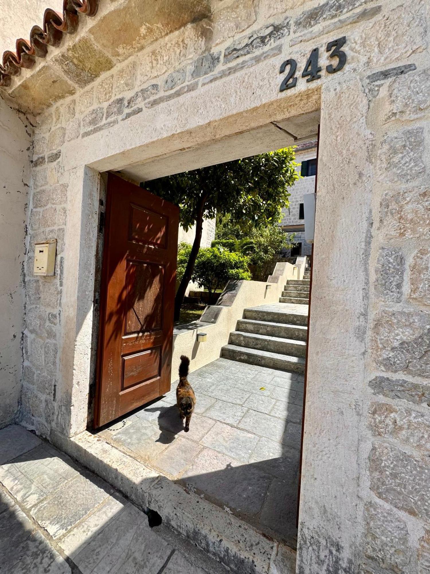 Apartments Radonicic Kotor Exteriör bild